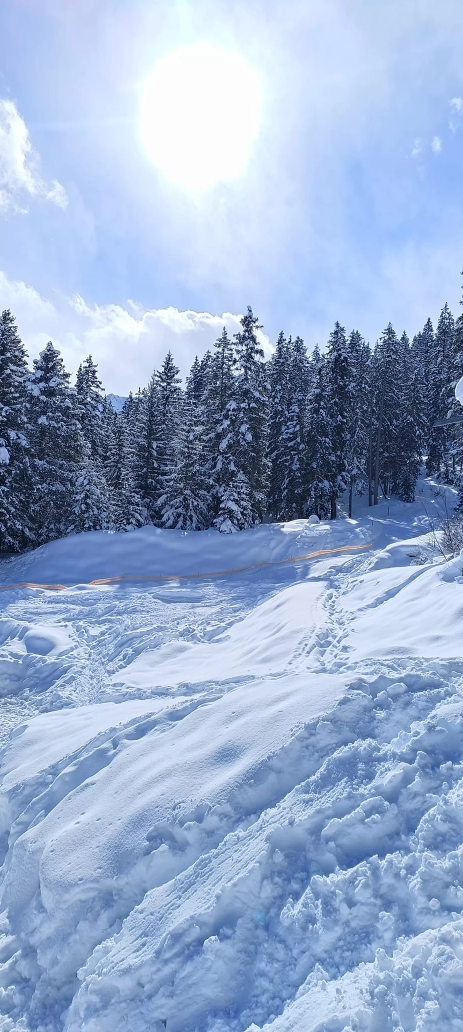 Uscite sulla neve – foto 16