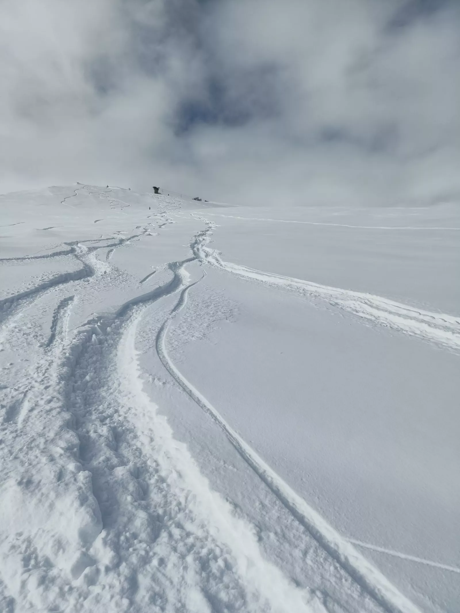 Uscite sulla neve – foto 30